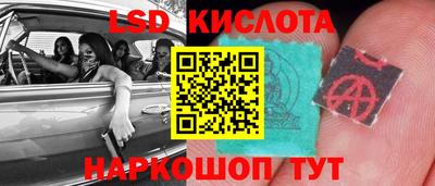 apvp Братск