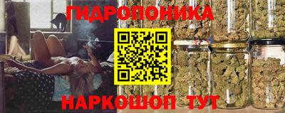 тгк Боровичи