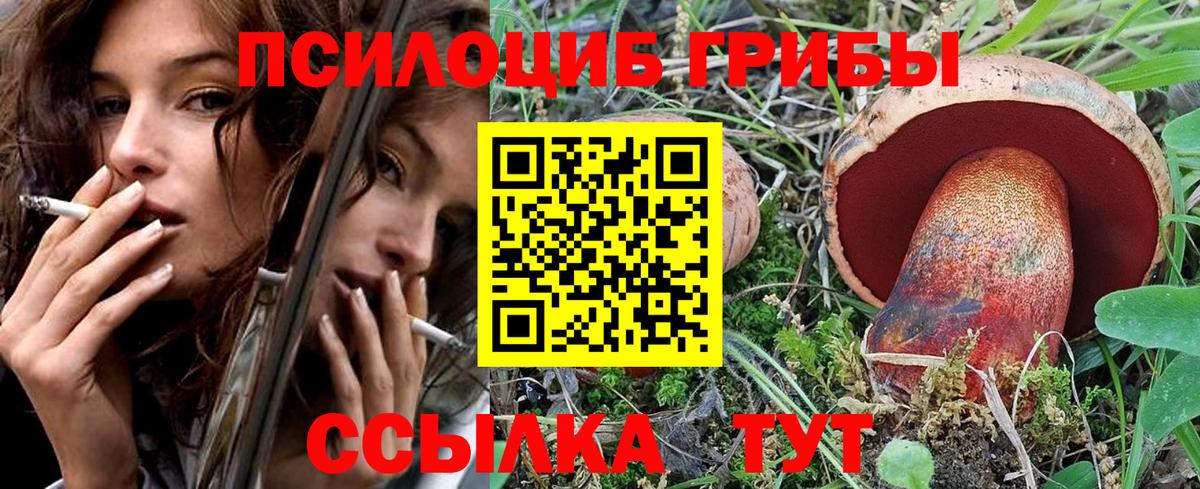 Псилоцибиновые грибы прущие грибы  Вход с VPN  Новотроицк 