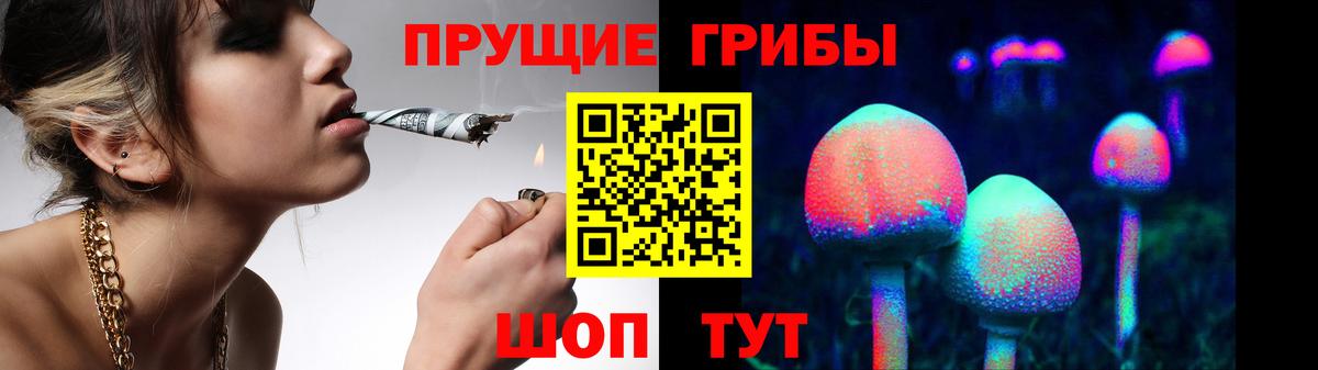 Галлюциногенные грибы Psilocybine cubensis Новотроицк